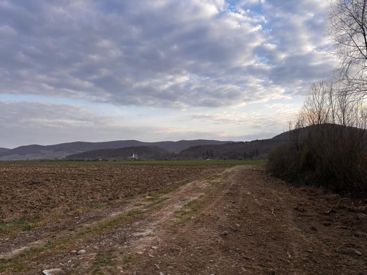 Teren agricol extravilan de 2500 mp, în Sud