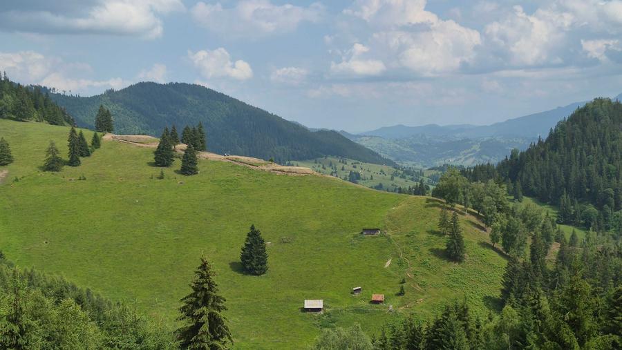 17 Ha Hectare pe Via Transilvanica intravilan + extravilan in Fundu Moldovei - 7