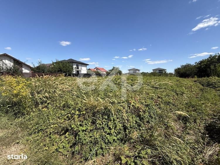 Teren intravilan de vanzare Iasi, Vorovesti | 981 mp | Deschidere - 4