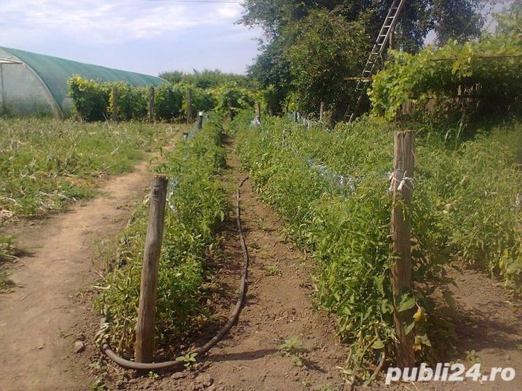 Teren de 5128 mp, în Central