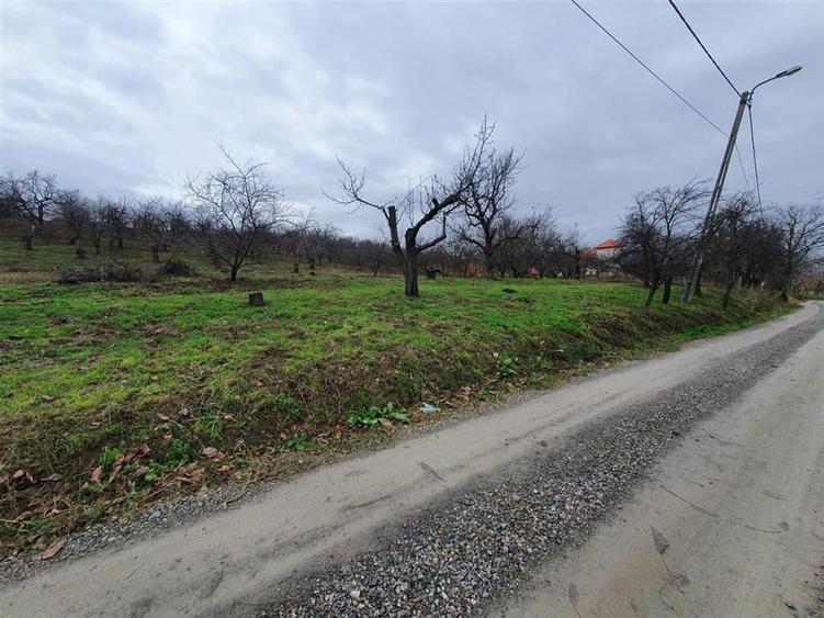 RECO Teren  in Oradea - 6