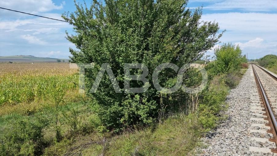 Teren agricol extravilan de 28000 mp, în Șura Mică