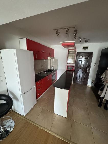 Apartament cu 2 camere în Nufărul
