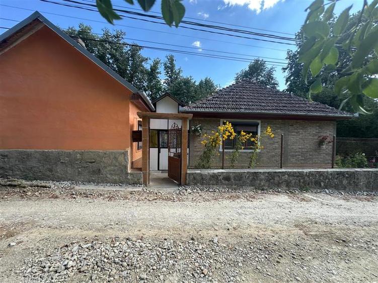 Bocsa Montana, Casa Cocheta de Vacanta sau investitie, Zona Pitoreasca - 28