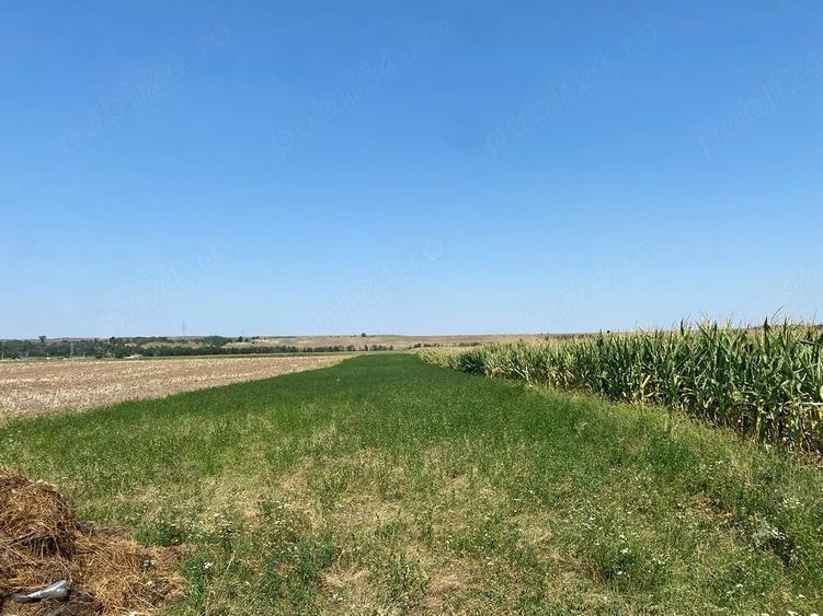 Teren de 36000 mp, în Dumbrava