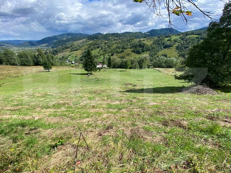 Teren Construcții extravilan de 21000 mp, în Câmpulung Moldovenesc