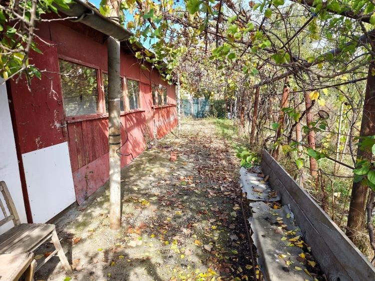 Casă cu 3 camere cu Teren 1685 Mp în Valter Mărăcineanu
