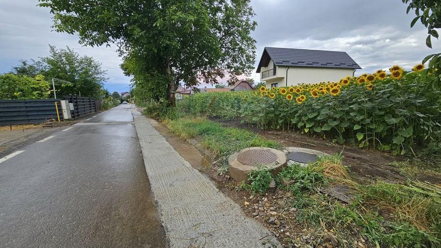 Teren de 2600 mp, în Lisaura