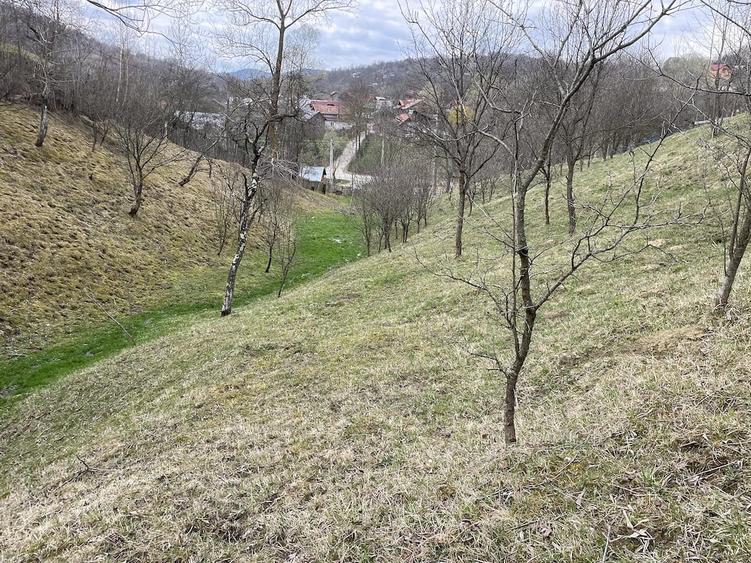 vand 2300m2 teren intravilant comuna secaria - 8