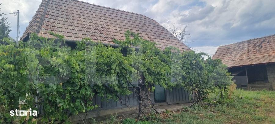 Casă cu 1 camere cu Teren 1525 Mp în Tritenii de Jos