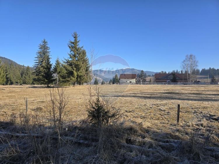 Teren Construcții intravilan de 3266 mp, în Dorna-Arini