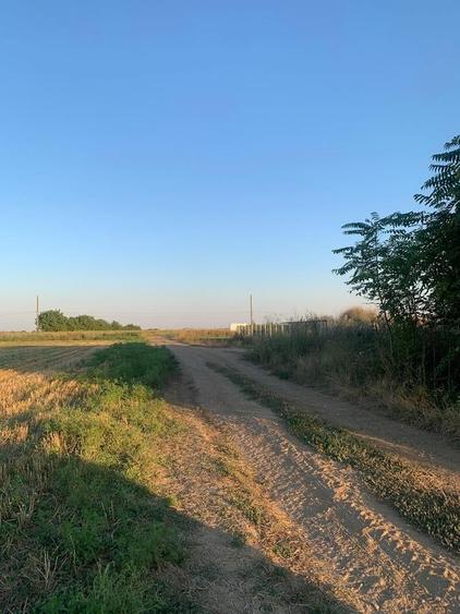 Teren Construcții intravilan de 44000 mp, în Dascălu