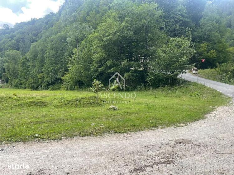Teren Investitie Turistica Dambovicioara Baranga | 4.500 mp - 20