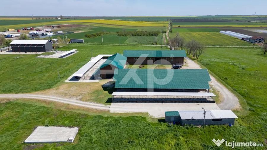 Teren în Crânguri