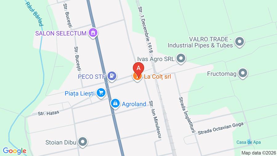 Casă individuală cu 3 camere cu Teren 1200 Mp în Liești