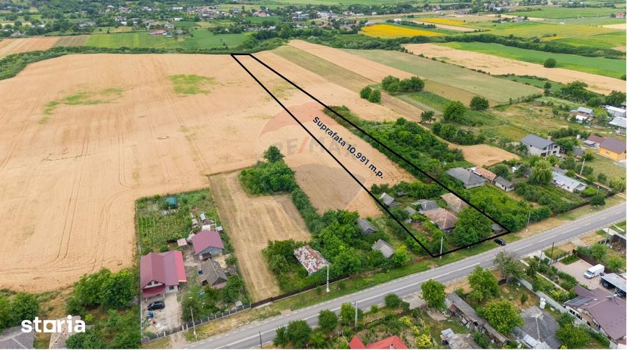 Casă cu 3 camere cu Teren 10991 Mp în Siliștea