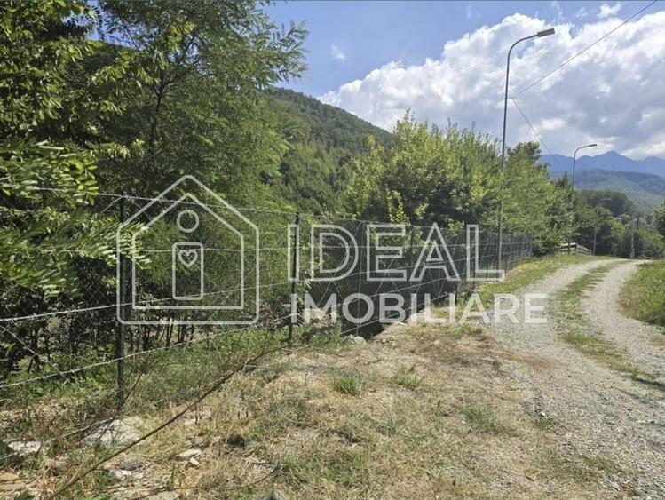 Teren agricol extravilan de 2300 mp, în Cârțișoara