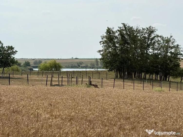 Teren intravilan Miersig, vedere la lac. 12,5 E/mp neg. C... - 12