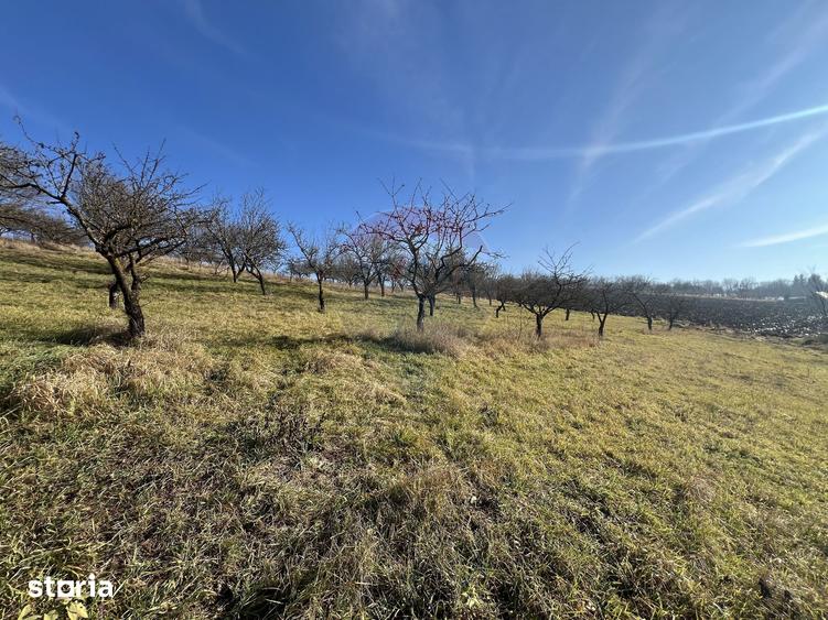 Teren de 34425 mp, în Moldovenești