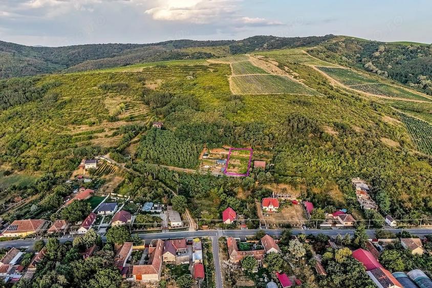 Teren de 1150 mp, în Miniș