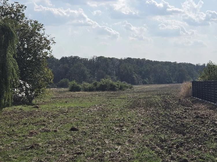 Teren de 6100 mp, în Lipia
