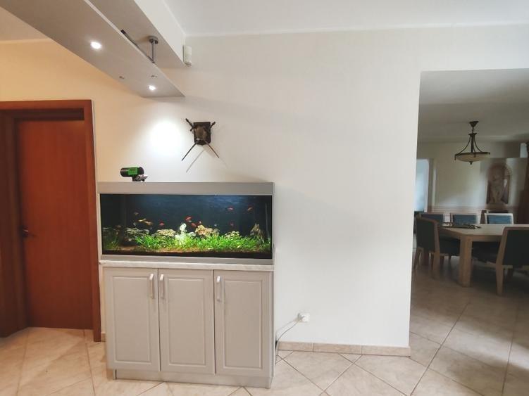 Casă individuală cu 5 camere cu Piscina în Corbeanca