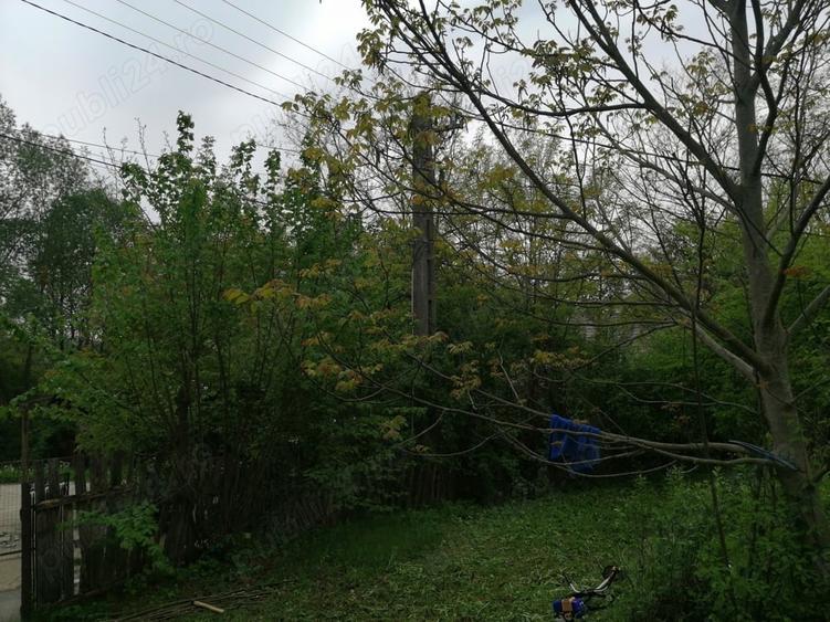 Teren de 714 mp, în Iedera