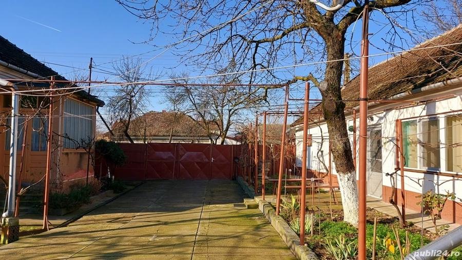 Casă cu 6 camere cu Teren 2984 Mp în Chișineu-Criș