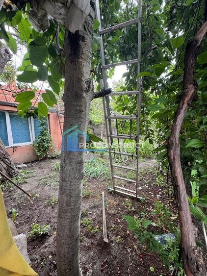 Casă individuală cu 9 camere cu Canalizare în Iosefin