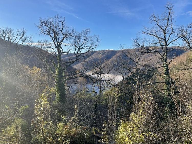 Teren de 95000 mp, în Costești (Albac)