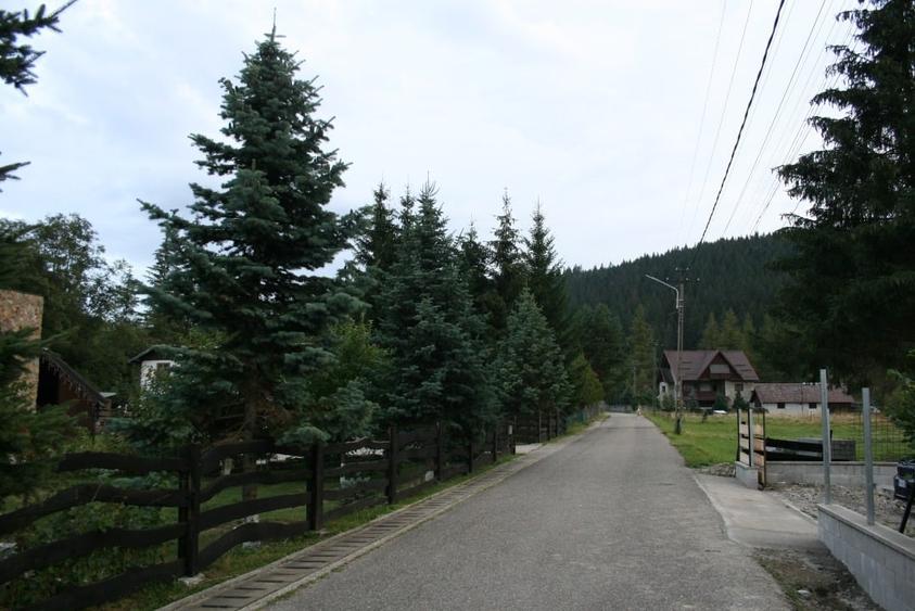 Teren intravilan de 13841 mp, în Valea Putnei
