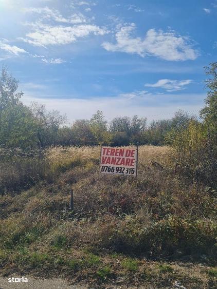 Spațiu comercial, în Cocu