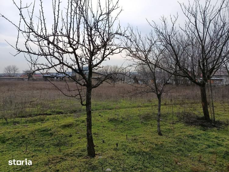 Teren de 4625 mp, în Frecăței