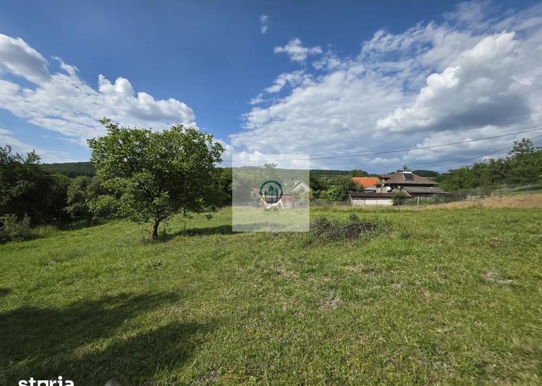 Teren agricol extravilan de 2340 mp, în Șoimuș