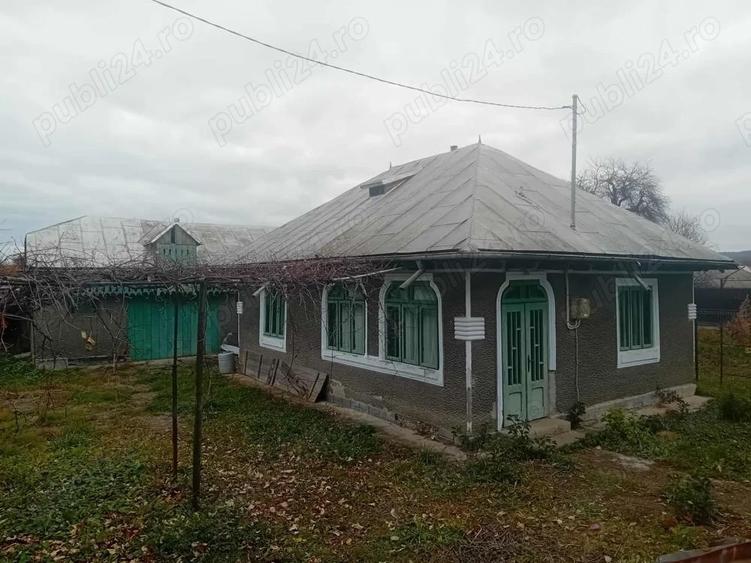 Casa Bodesti 50mp 2 camere bucataria anexe la sosea cu 1500mp teren lumina ,fintina cu apa - 7