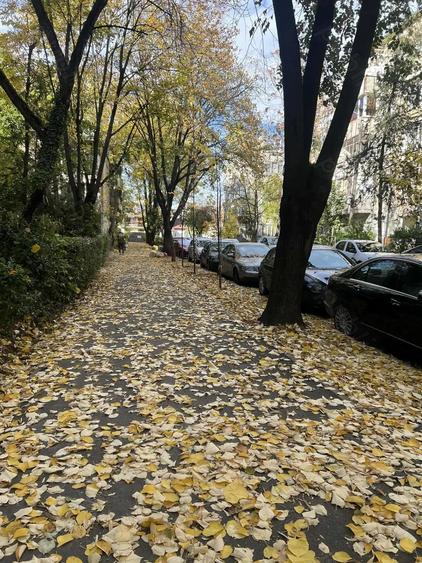 Vand apartament 2 camere - 8