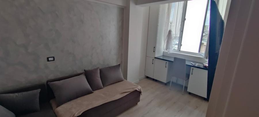 Apartament cu 2 camere Visan - 4