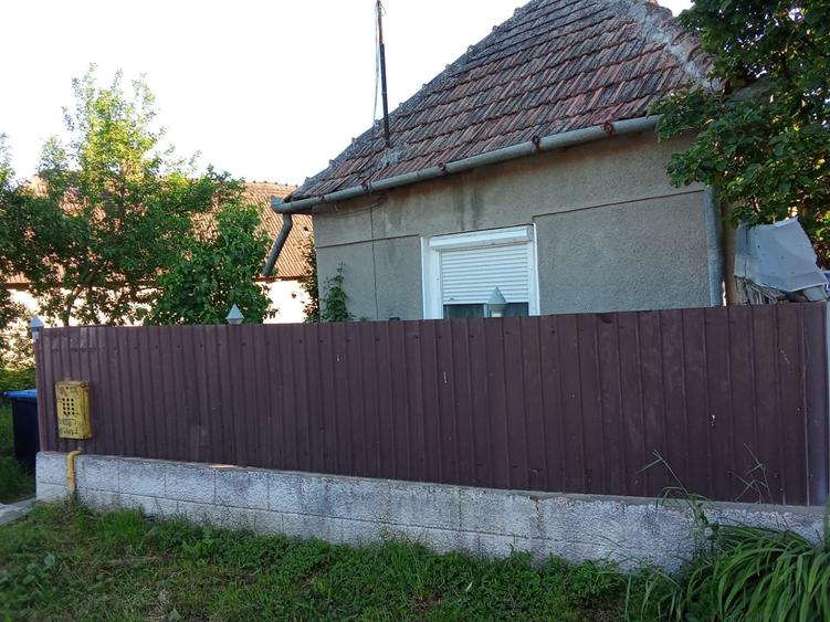 Casa de vanzare in sat Craiesti - 3