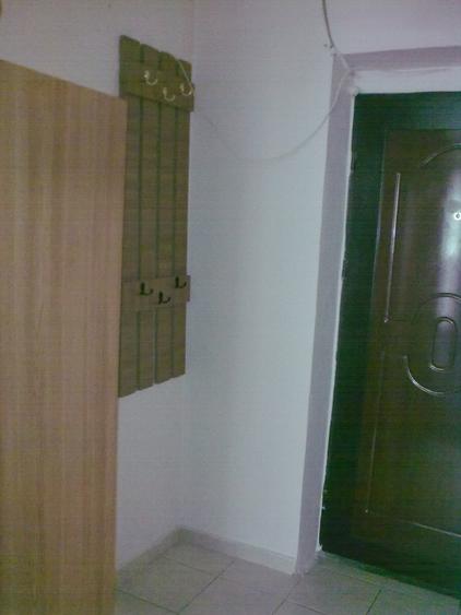 Teiul Doamnei, Bucur Obor, Colentina, garsoniera - 5
