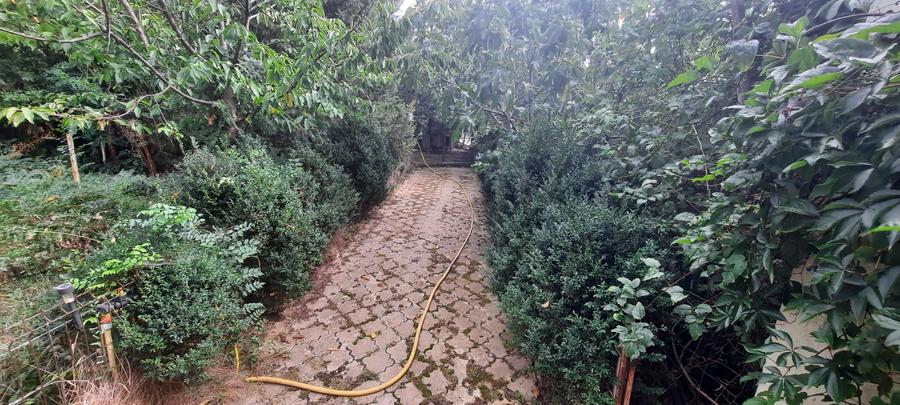 Vânzare proprietate deosebită în satul Găgeni, comuna Păulești, județul Prahova - 7