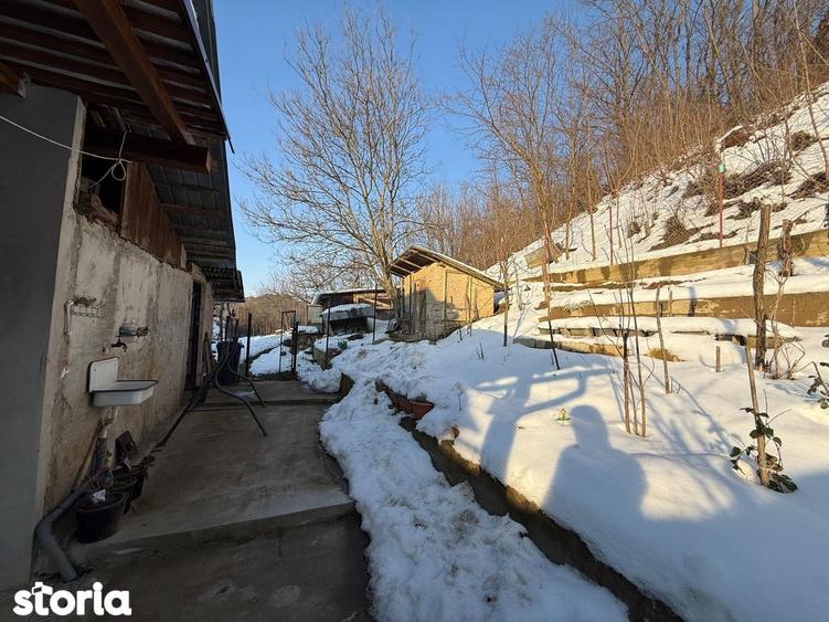 Vand Casa in Tarnava strada principala - 8