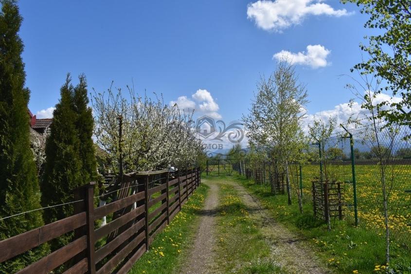 TEREN INTRAVILAN CU CONSTRUCTII AGROTURISTICE SI CABANA CODLEA - 2
