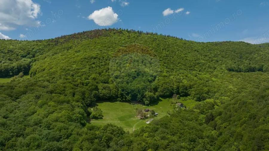 Teren de vanzare Colonia 1 Mai, 5.310 mp, ideal pentru investi?ie - 3