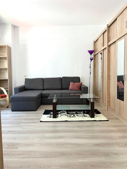 Victoriei / Petru Rareș / Garsoniera Mobilată / Bloc Nou / Etaj 1 - 6