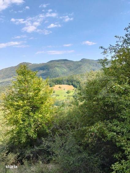 Teren generos de 70290 mp, 5045 mp intravilan, Poiana Ampoiului, Metes - 4