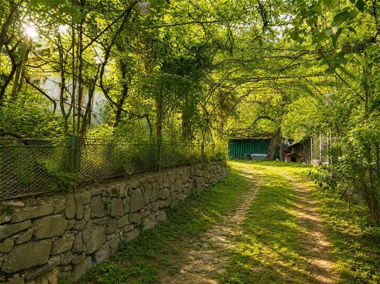 Casa traditionala cu autenticitate rurala, in pitoreasca Telega, Prahova - 2