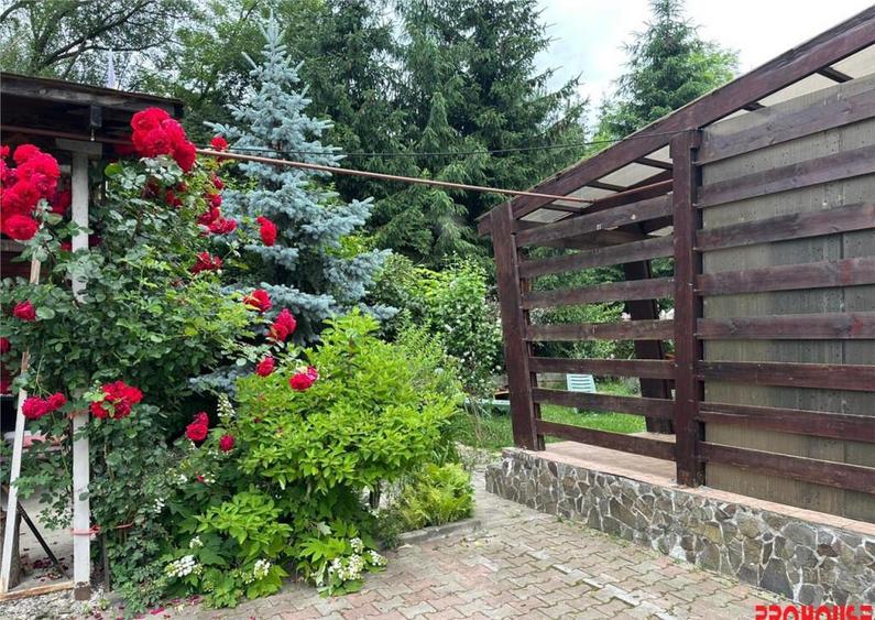 Casa deosebita in sat Podis - zona Dubas - 1