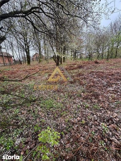Teren intravilan in spate la Castel Transilvania 1.000mp - 7