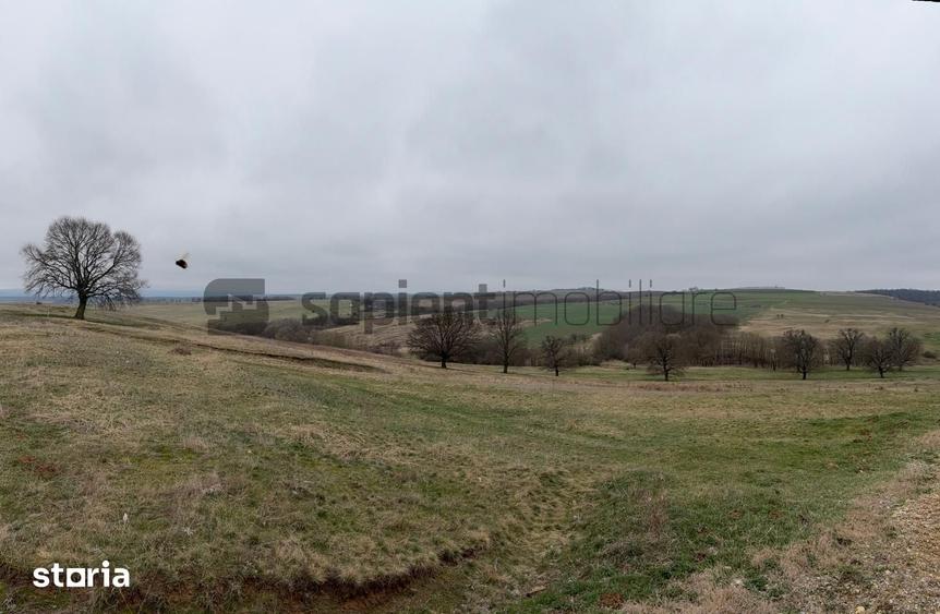 Teren de 8 mp, în Husasău de Tinca