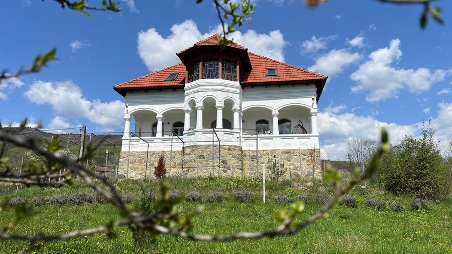 Conac 10 camere | renovat integral | Arefu | Baraj Vidraru - 4